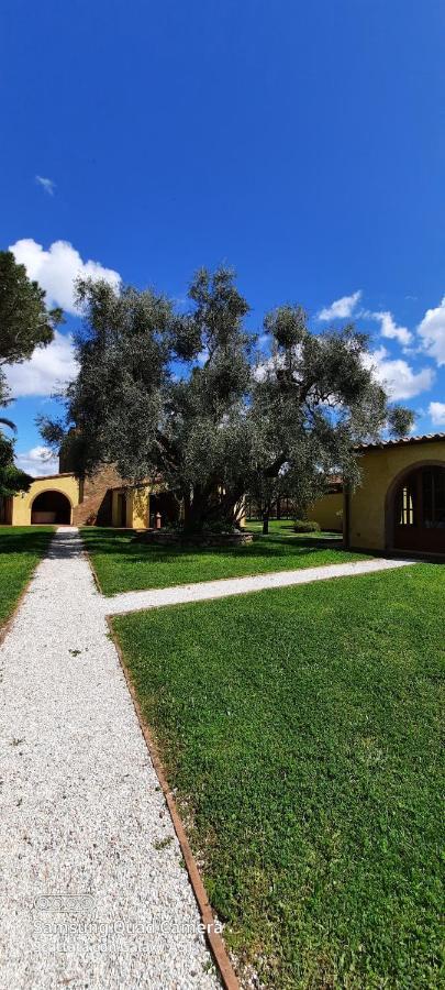 David Bilocale Wi-Fi, Posto Auto, Giardino, Aria Condizionata Apartment Donoratico Exterior photo